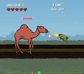 Jontron Bird vs Camel