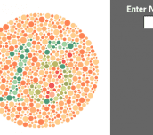 Color Vision Test